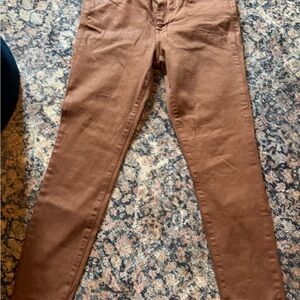 Hudson Jeans Women's Brown Skinny Jeans